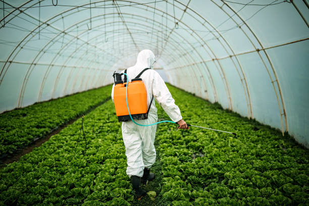Best Pest Inspection Near Me  in Ashburn, GA