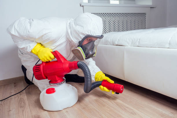 Best Termite Control Services  in Ashburn, GA