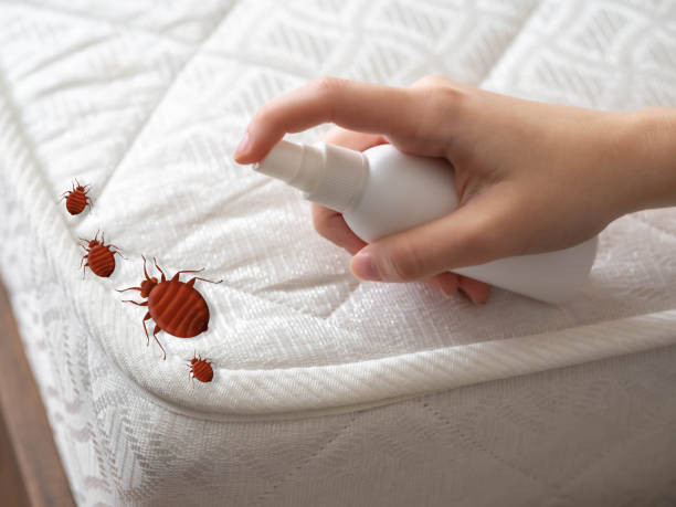 Best Pest Removal Services  in Ashburn, GA