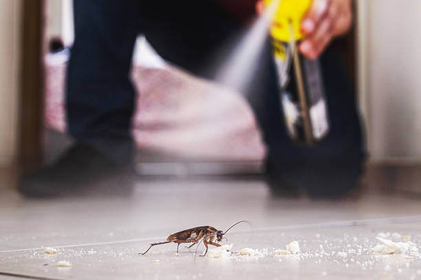 Professional Pest Control in Ashburn, GA