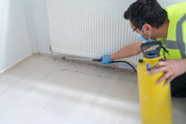 Best Affordable Pest Control Services  in Ashburn, GA