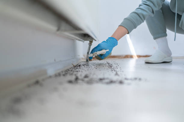 Best Best Pest Control Companies  in Ashburn, GA